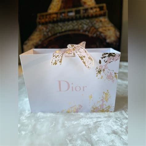 dior gifting bag|christian Dior gift bag.